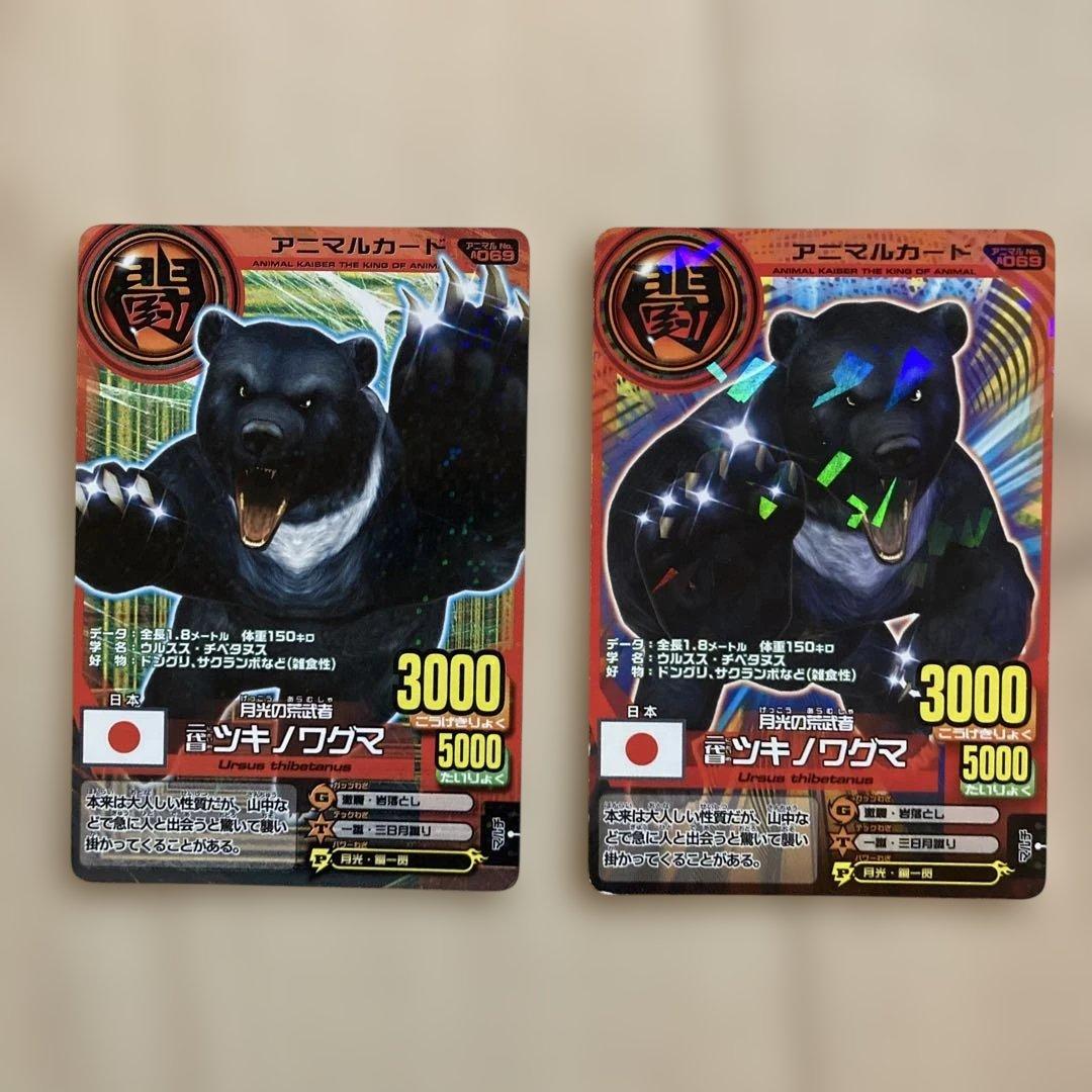 アニマルカイザー ツキノワグマ トレーディングカード 2枚セット