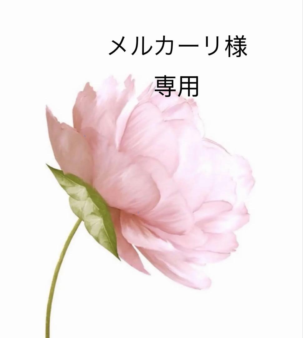 メルカーリ 1985 Kawasaki ZXR750 (69847) | Clutch & Cycles