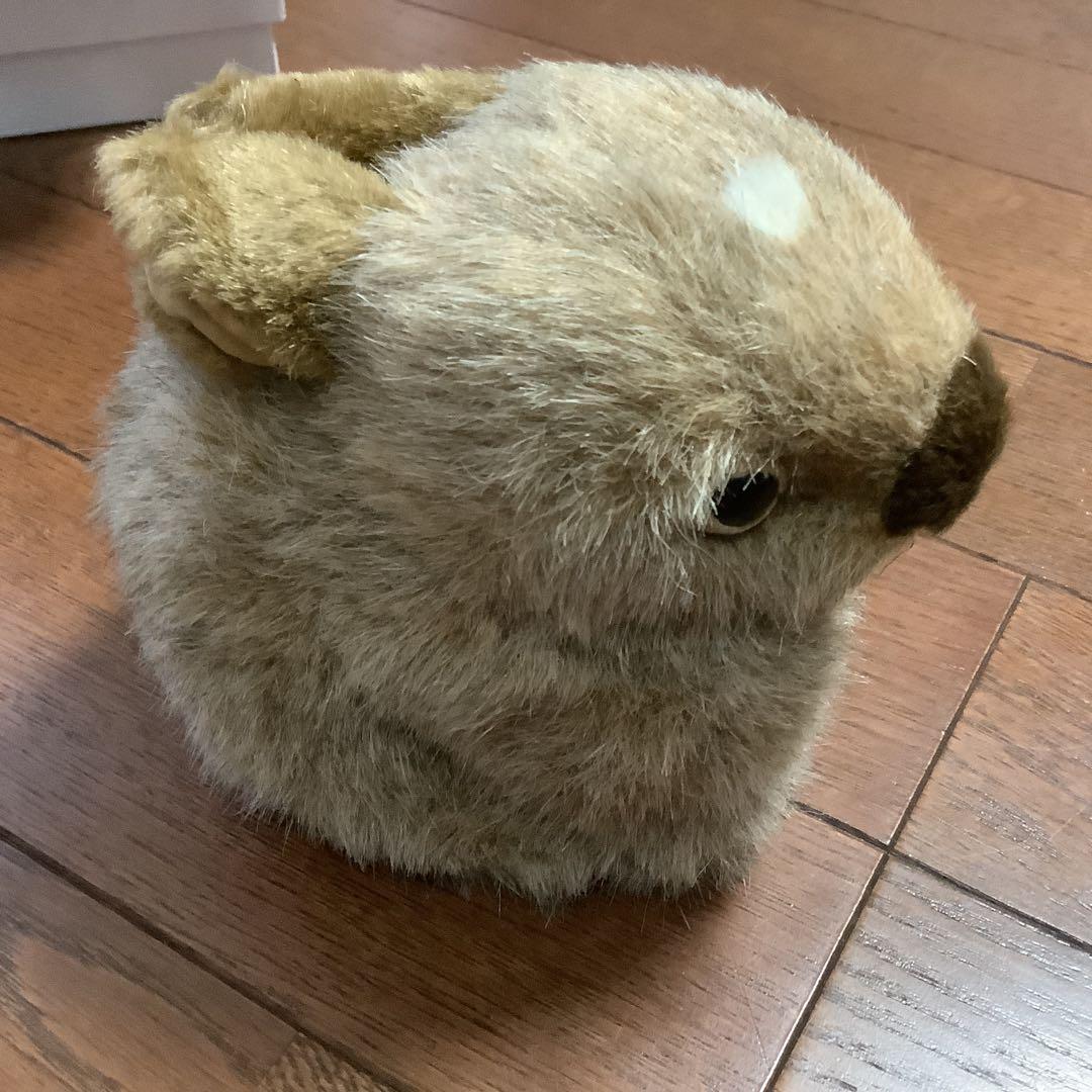 やまね工房 キツネ、エゾリス、モモンガ、やまね、野うさぎの