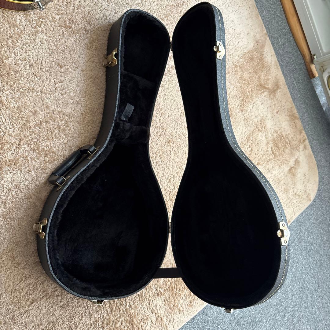 Fender】 エレクトリック フラットマンドリン