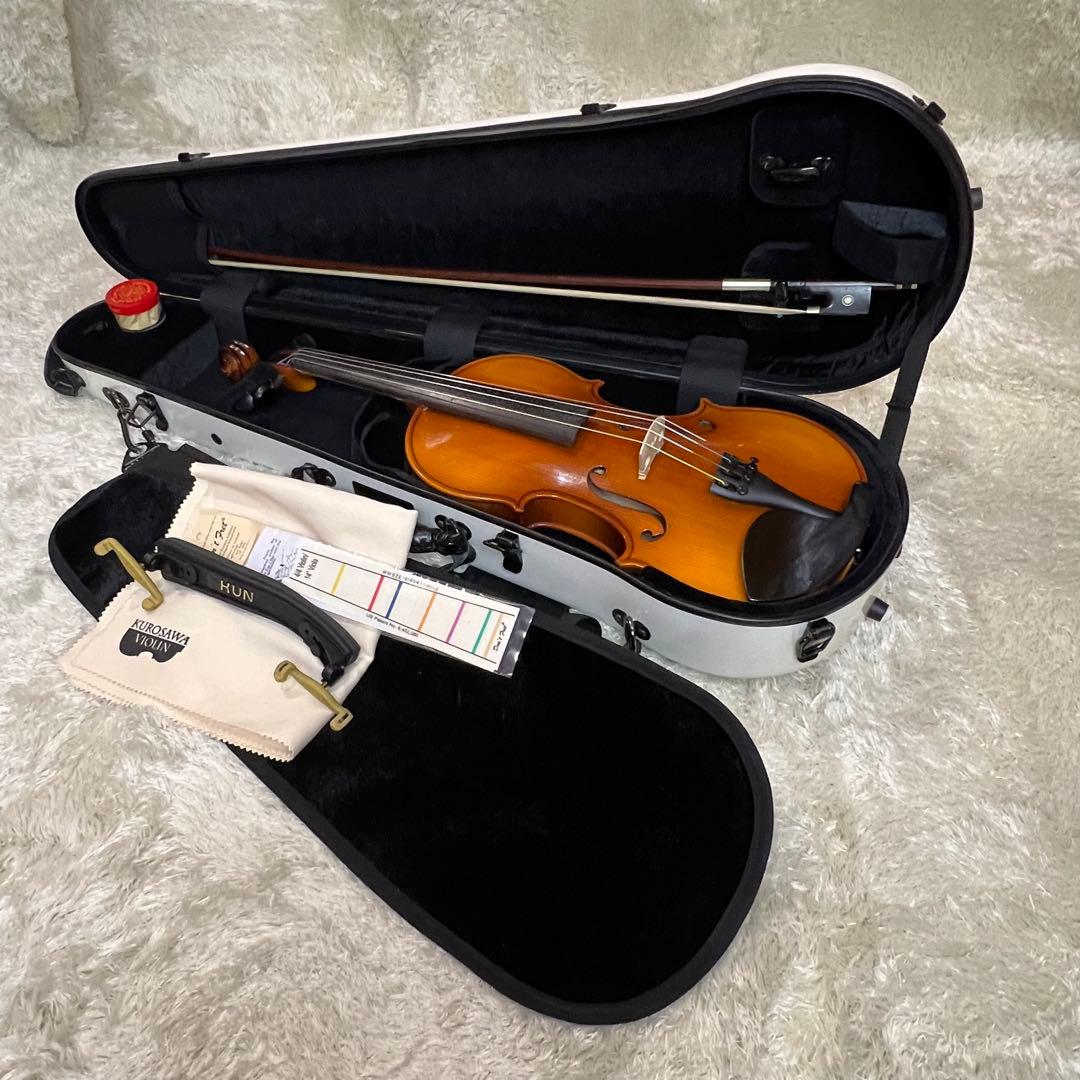 HORA Reghin ヴァイオリン 4/4 バイオリ Carbon Mac