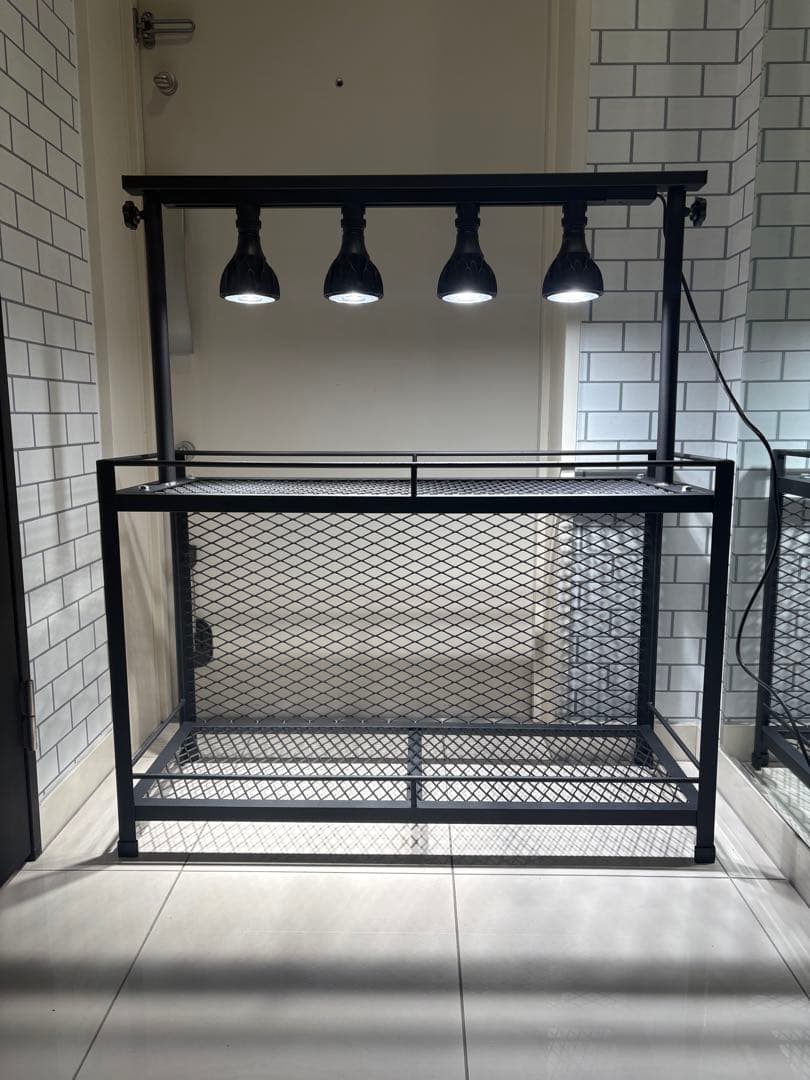 植物棚 アイアン棚 伸縮ライトレール パキプス アイアンシェルフ アガベ