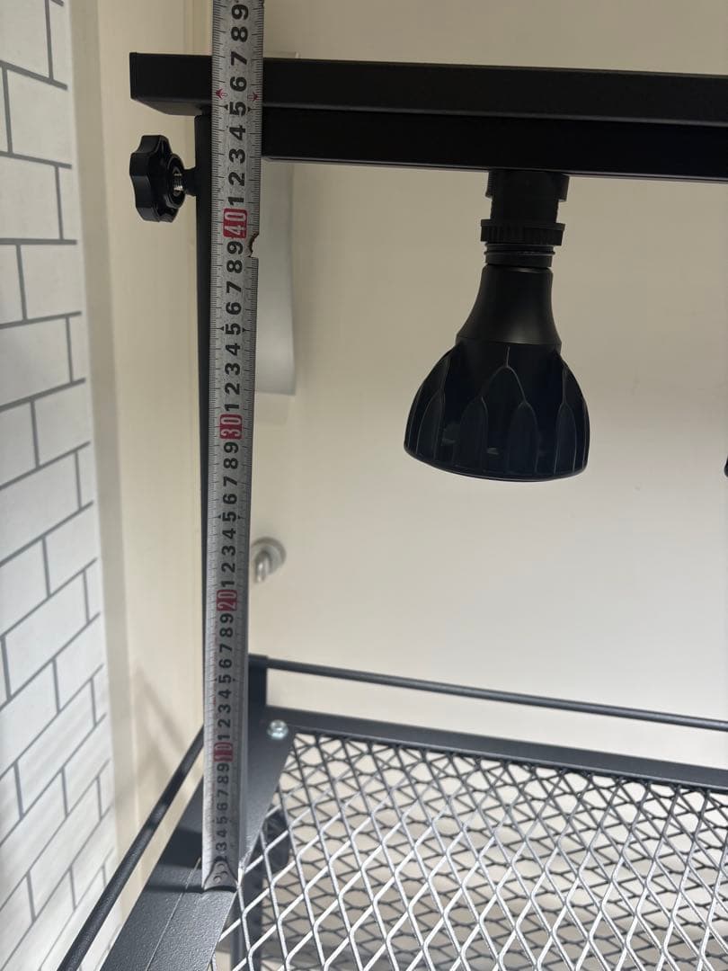 植物棚 アイアン棚 伸縮ライトレール パキプス アイアンシェルフ アガベ