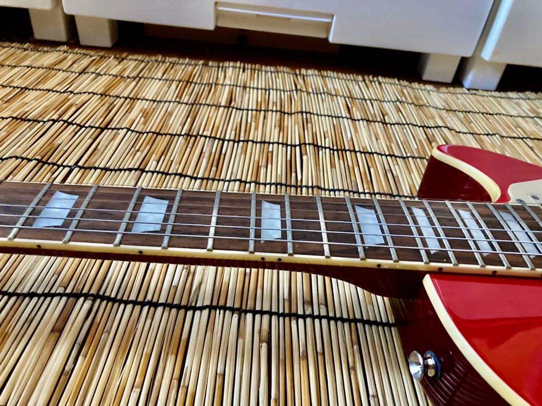 ☆新年特別値下 ☆美品珍品　ピックアップを改造して唯一無二のLP Buskers