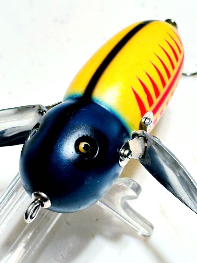 dowluck 道楽 アブラゼミ ヤゴの朝吉 ( ヤマネデラックス エヴィス )