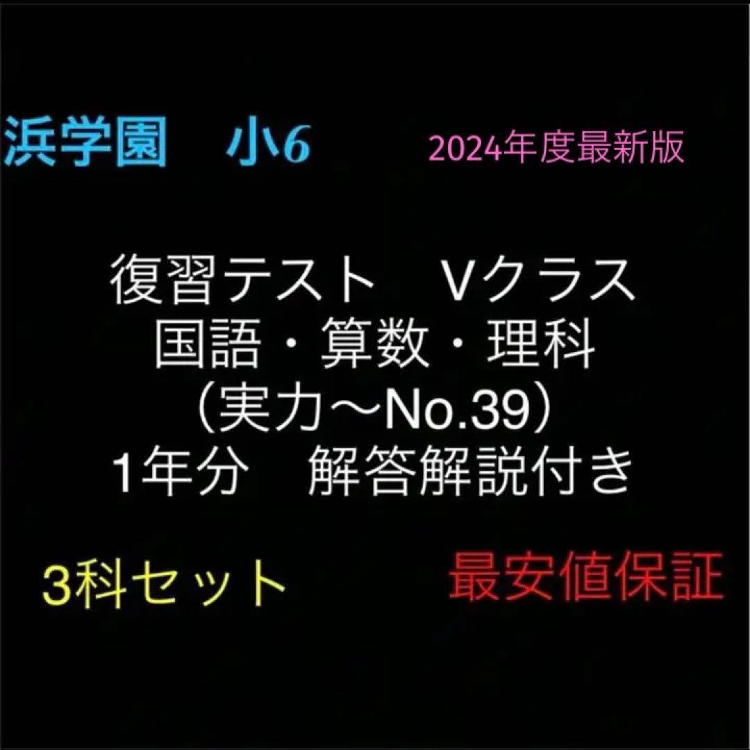 浜学園 小6 国語算数理科 Vクラス 復習テスト 実力〜No.39 解答