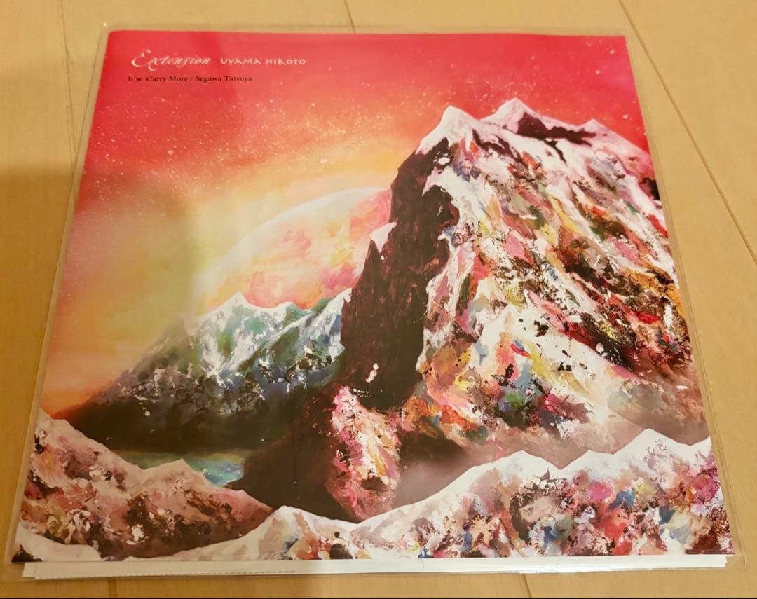 その他 Uyama Hiroto,Segawa/Extension,Carry More Freeform Jazz : Uyama Hiroto | HMV&BOOKS online - RPD-2