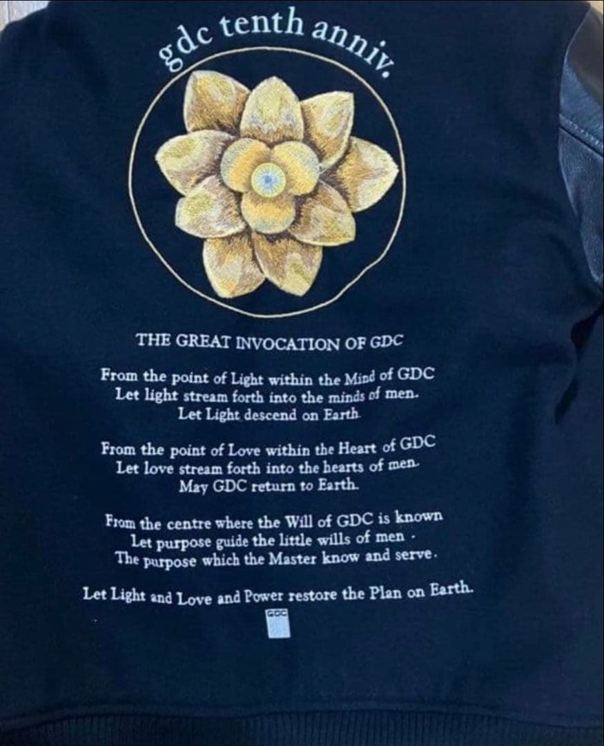 ⭐️卍丸さま専用⭐️GDC ロータススタジャン 蓮 ナンバリング有り 10