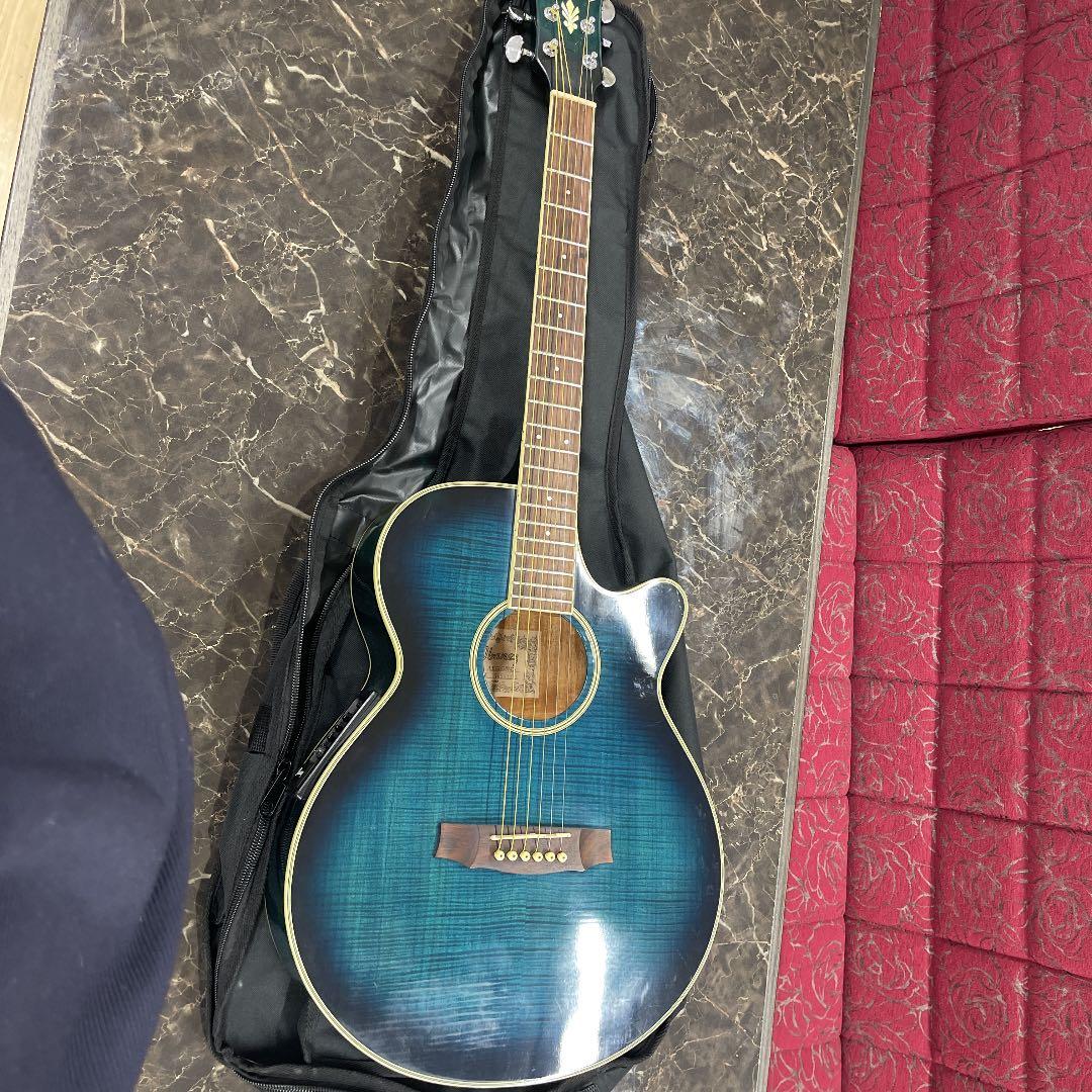 Ibanez アイバニーズ エレアコギター AEG-450MS E ケース付きの通販は