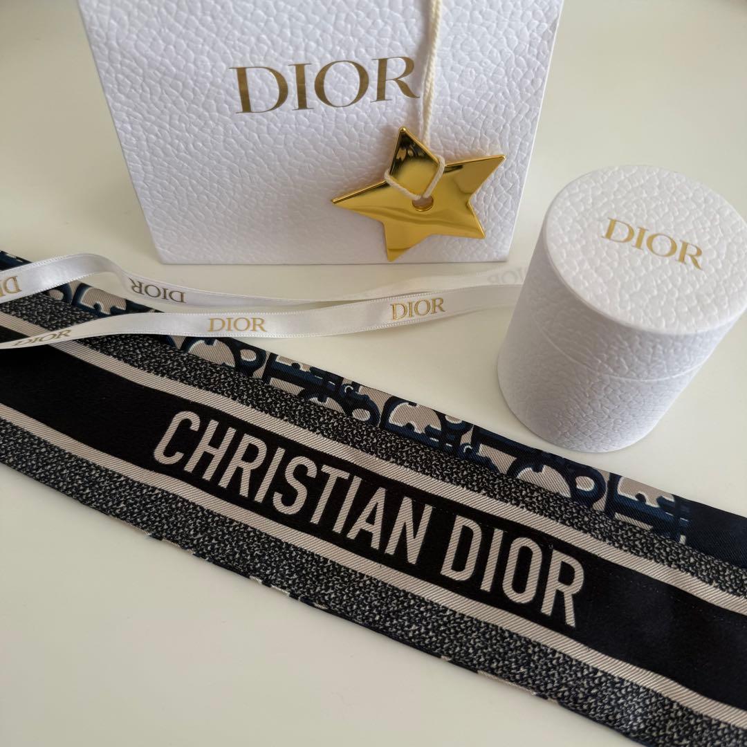Christian Dior シルクスカーフ ミッツァ 15DOB106I600C810_SBG_E01?$