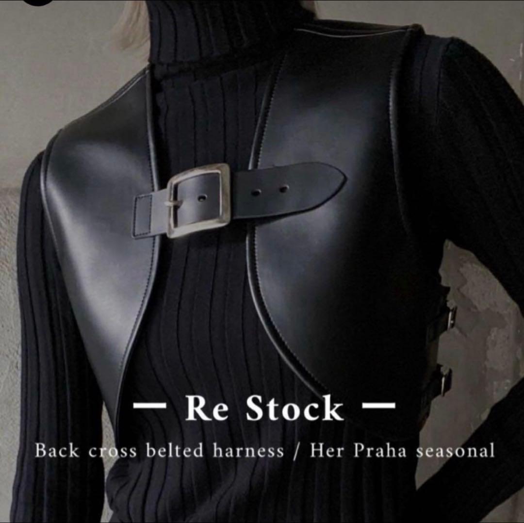 litmus リトマス Her Praha レザーハーネス - メルカリ