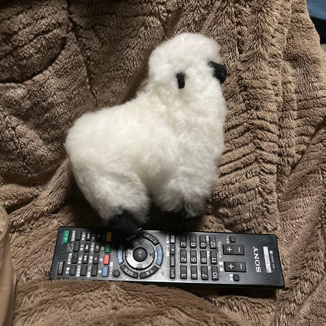 ペルー現地購入 アルパカぬいぐるみ5点セット ペルー現地購入 アルパカ