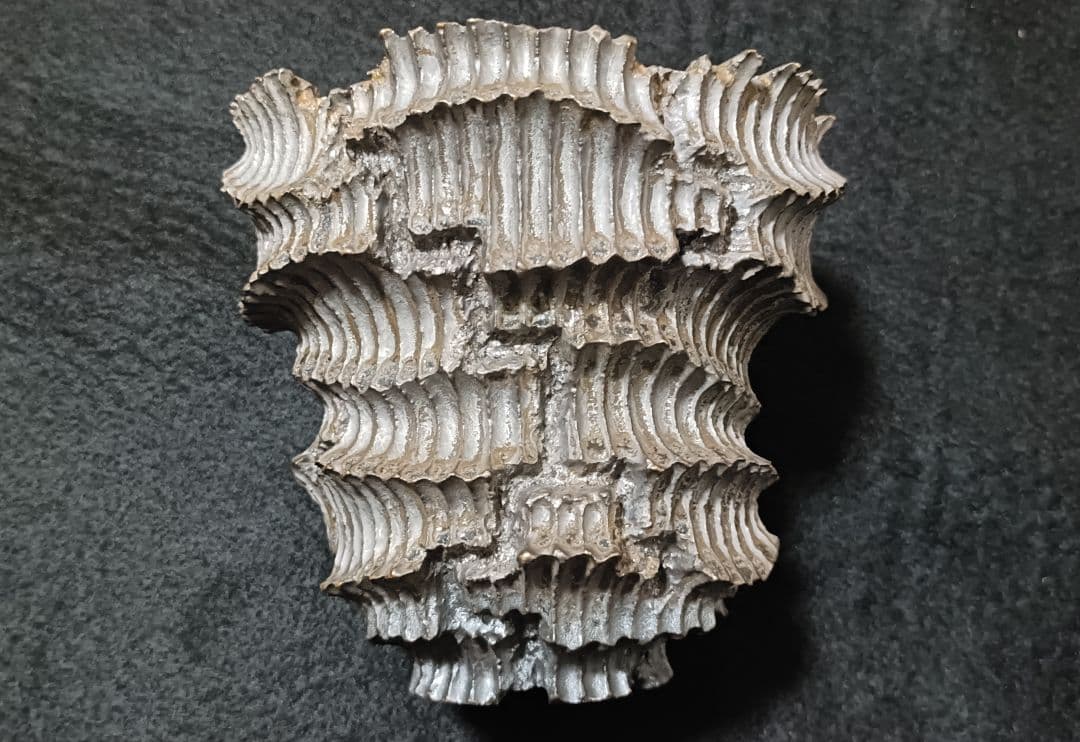 nk 999693780-132503026340297003.