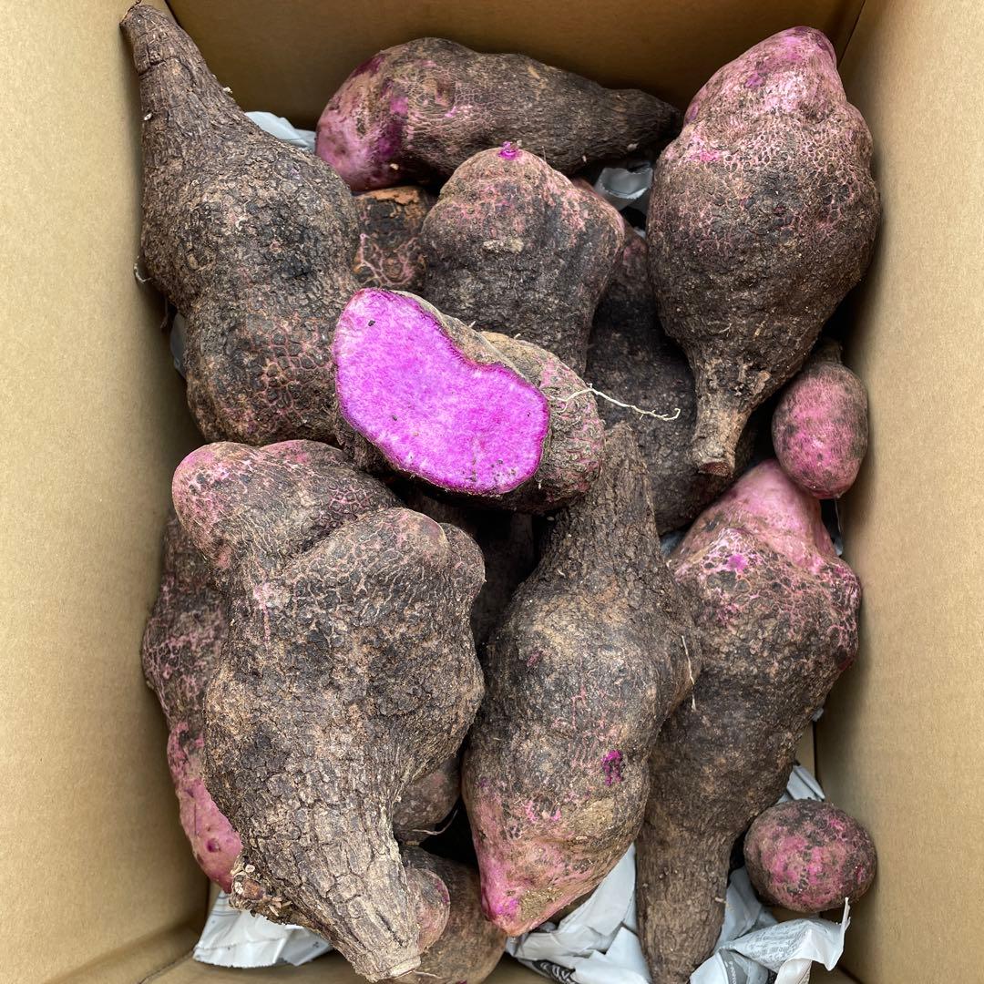 鹿児島県産紫山芋、つくね芋7キロ - メルカリ