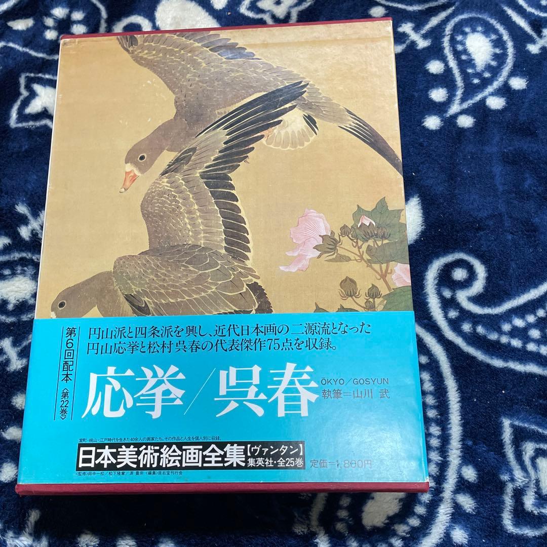 応挙/呉春 日本美術絵画全集 第25巻 集英社発行 - メルカリ