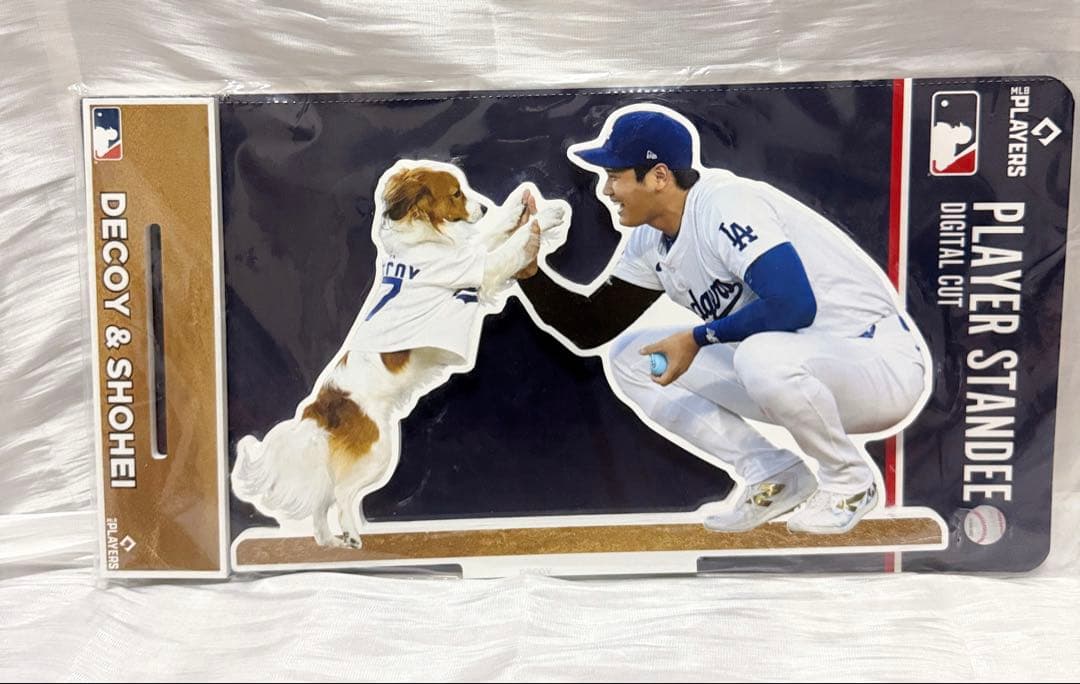 古田島成龍 投手 初勝利記念直筆サインフォトフレーム オリックス