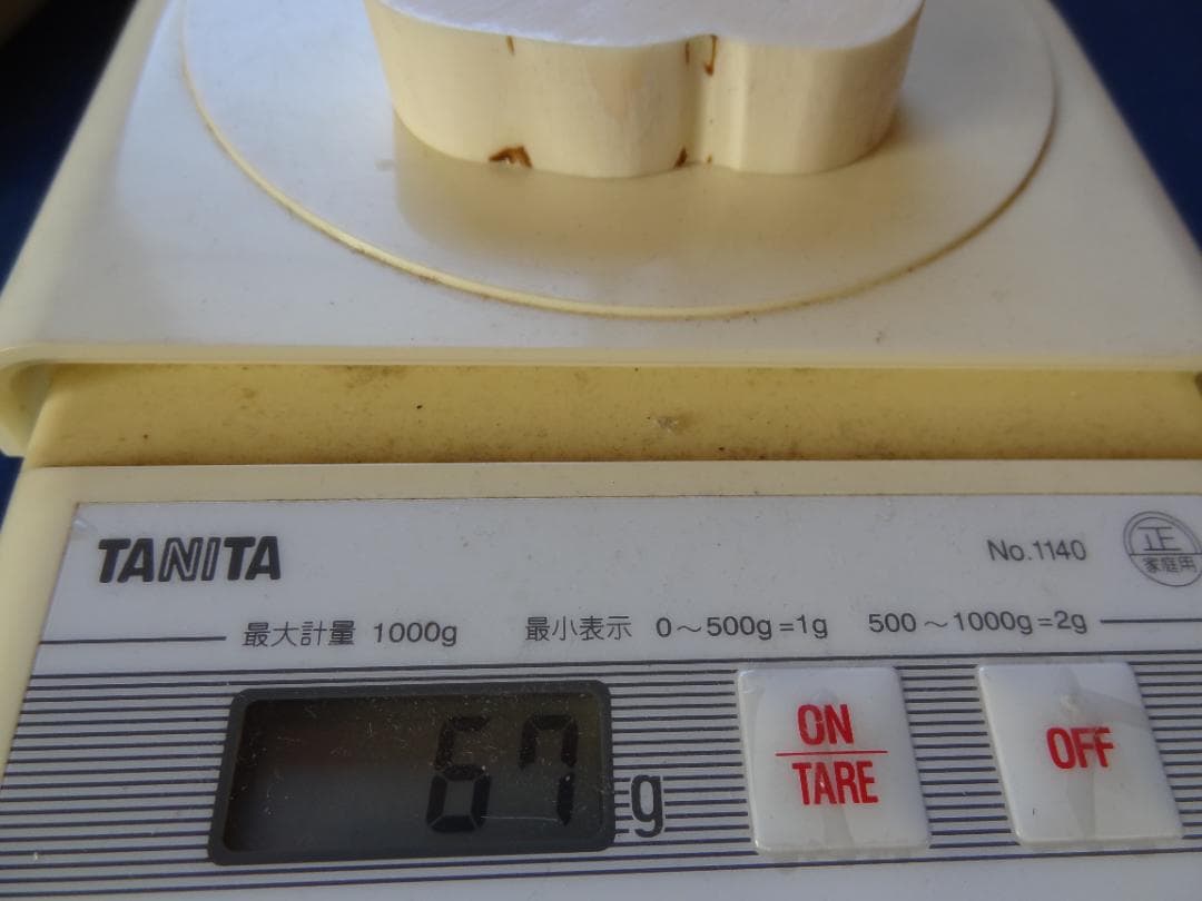 クジラ歯 セイウチ牙 海象 輪切 牙材 天然素材 希少