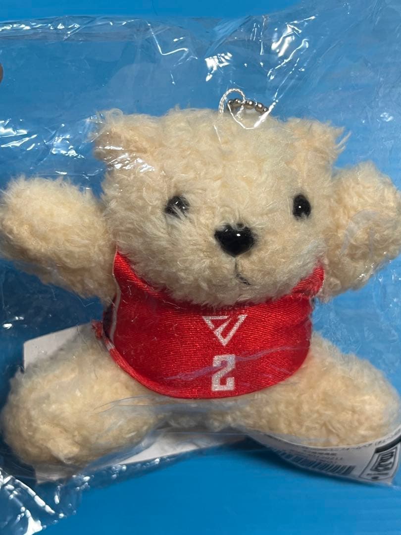 千葉ジェッツ 富樫勇樹 HOME 富樫ベア 受注生産品 希少 - メルカリ