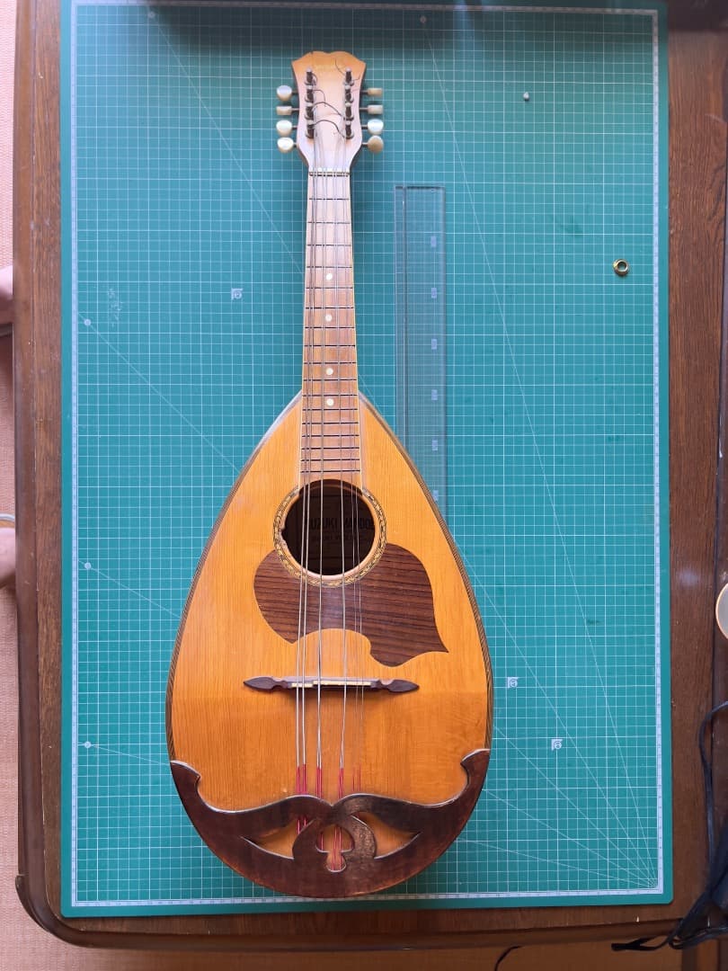 スズキ SUZUKI マンドラ 鈴木マンドリン、マンドラの販売～SUZUKI,ENA【ガッキコム】