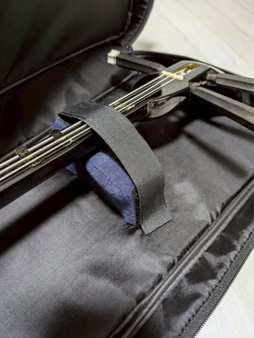 三線　胴 蛇皮（裏側破れ）【ケース付き】 訳あり