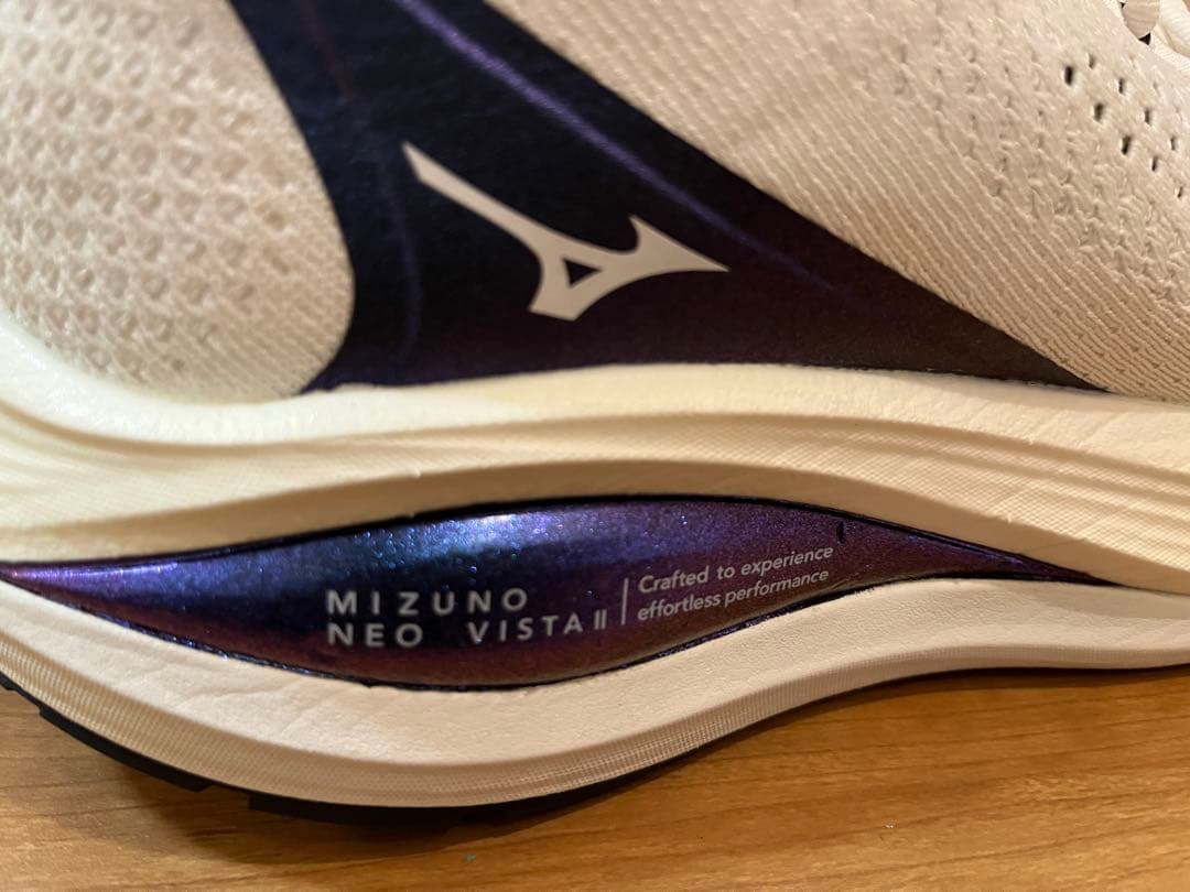 ミズノ ネオビスタ2 26.5cm