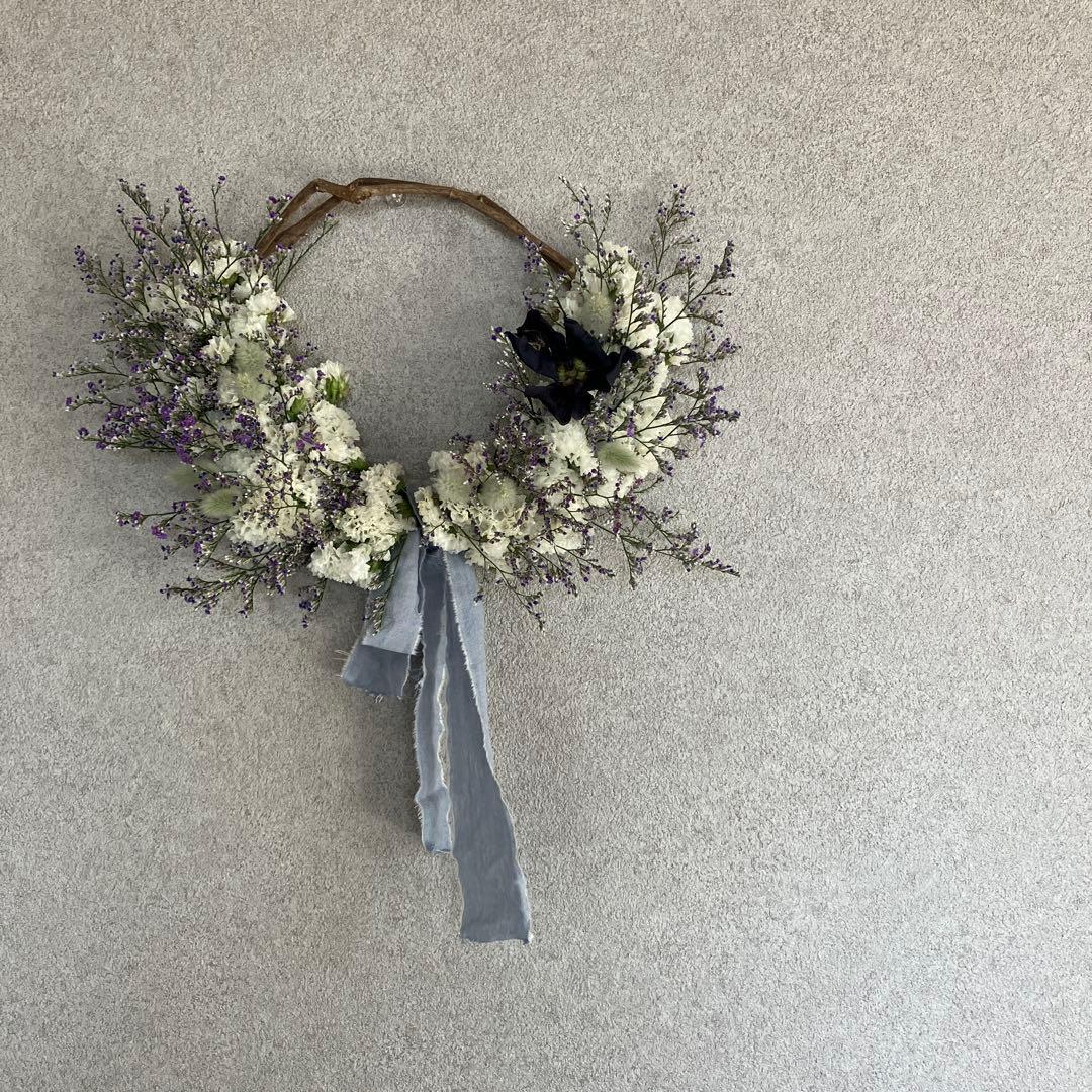 感謝SALEブルーウェーブとスターチスのリース ハイブリットスターチス