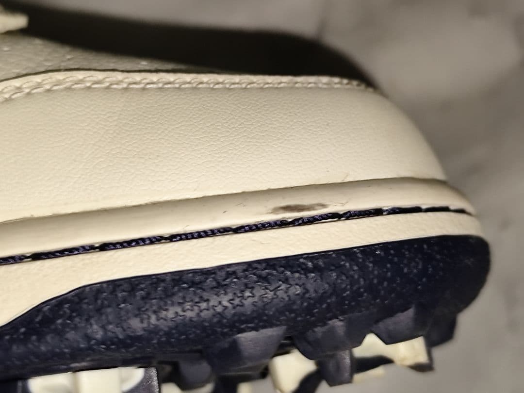 高*奈様 NIKE ナイキ ゴルフシューズ ダンク 26.5cm 488345-