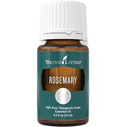 ローズマリー 15ml | ヤング・リヴィング精油 | Young Living