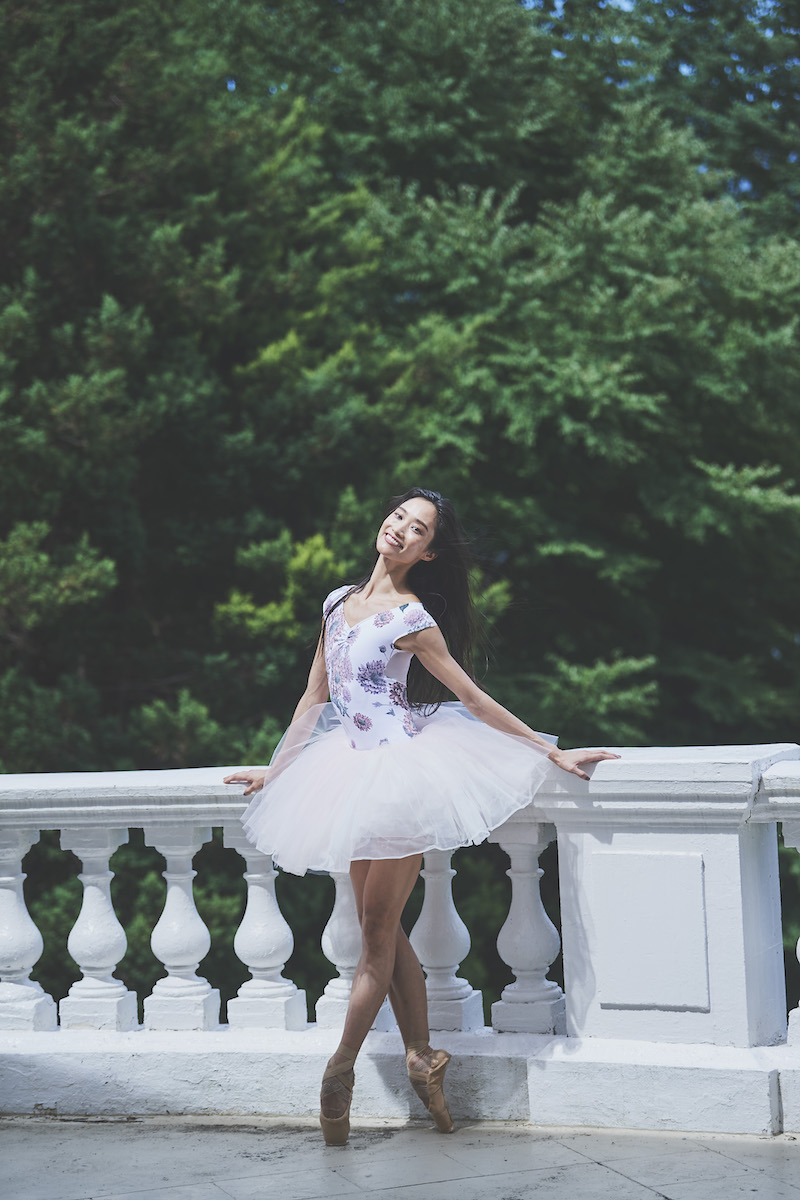 stina / type zero butterfly / Dahlia imperialis purple pink