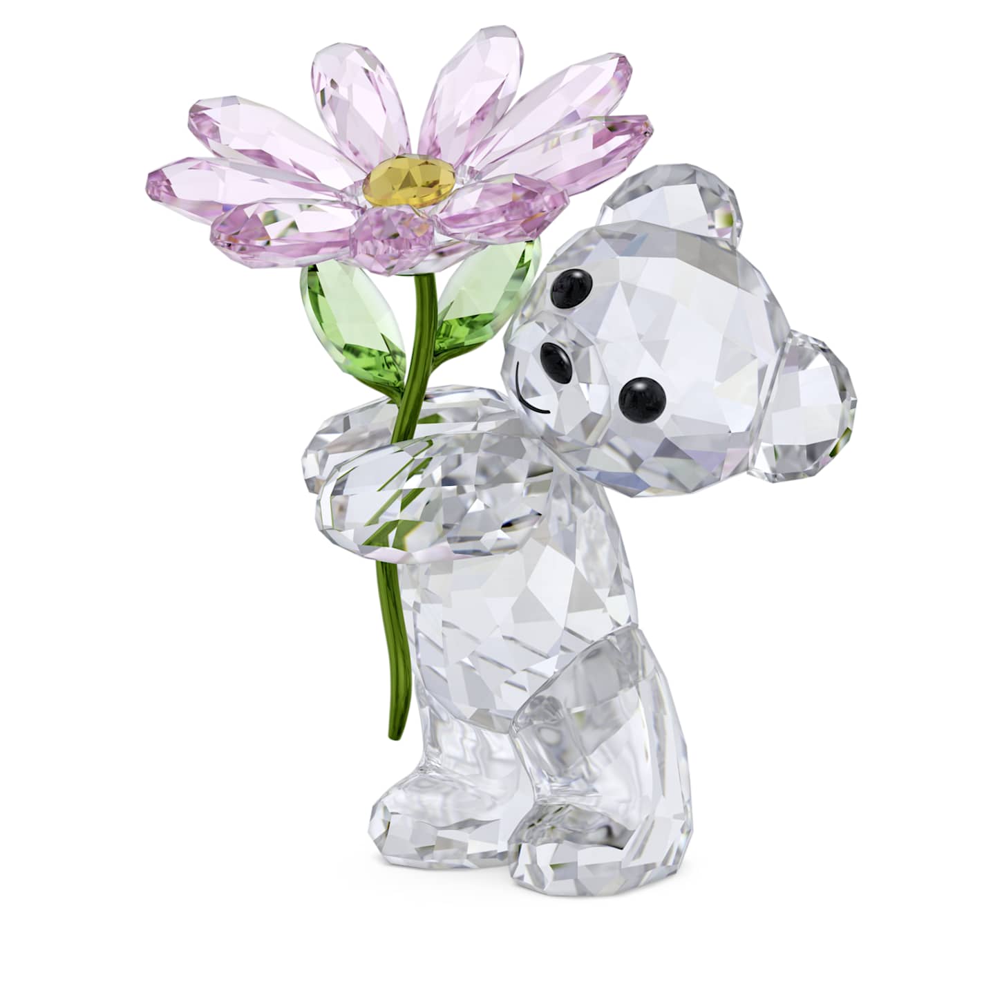 krisベア-a-daisy-for-you-