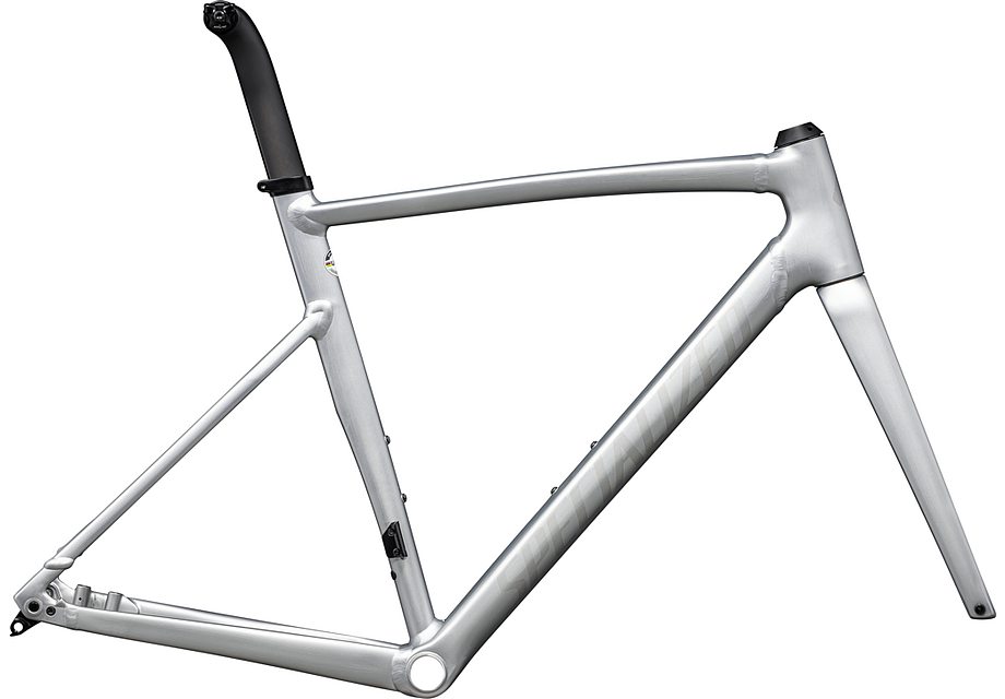 ALLEZ SPRINT FRAMESET FOGTNT/ALU/BLKPRL 49(49 サテンフォグティント