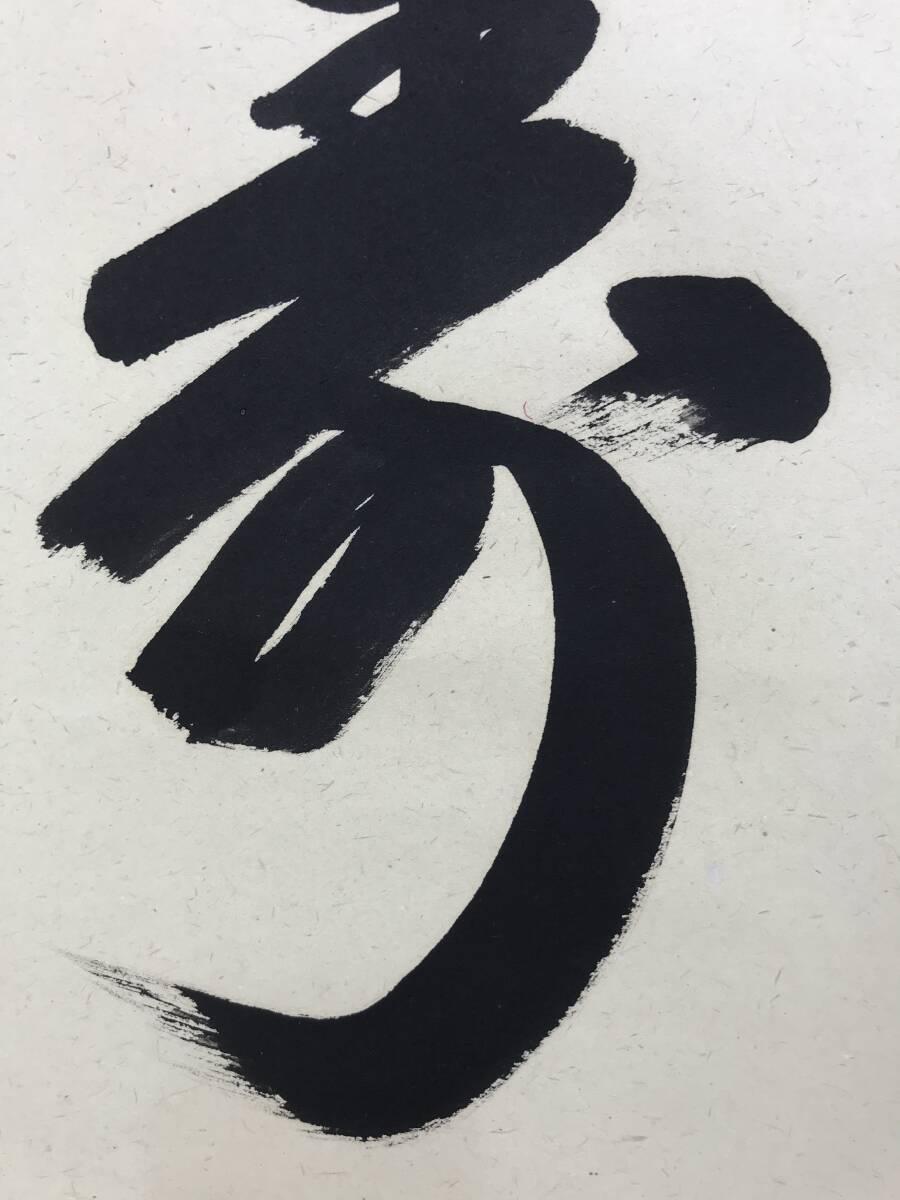 茶道具】前大徳寺 橋本紹尚和尚筆 桜画賛「一様春」茶掛 掛軸 軸B957