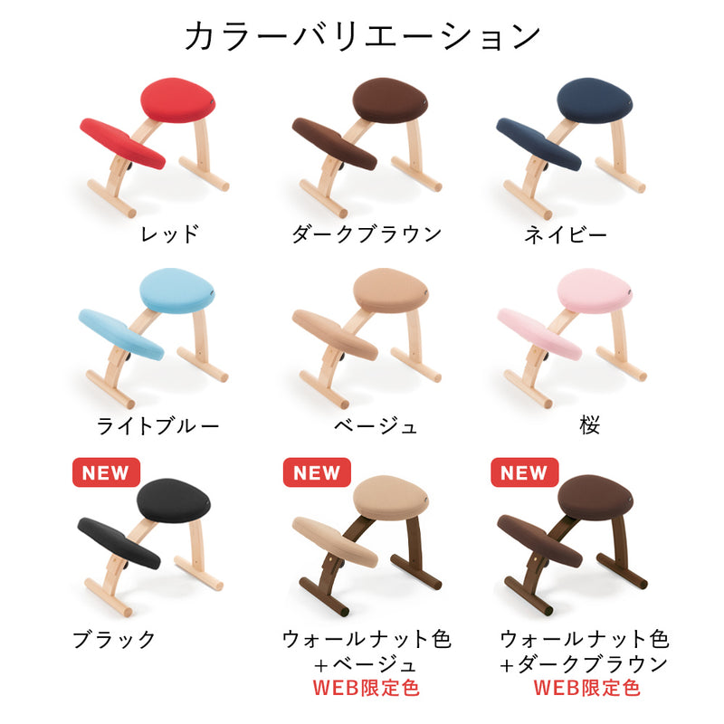 ラクに姿勢がよくなる椅子｜バランス イージー バランスラボ