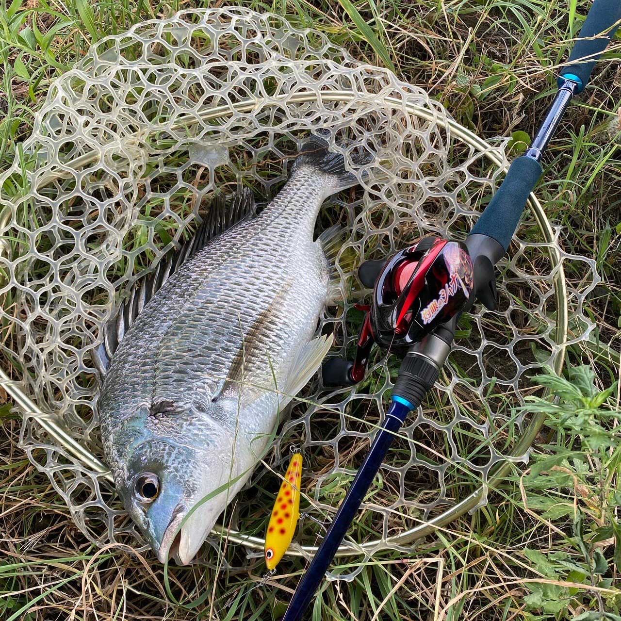 ENO B×T Champloo 76｜ジギング・ルアー・ロッド｜Boggy（ボギー）