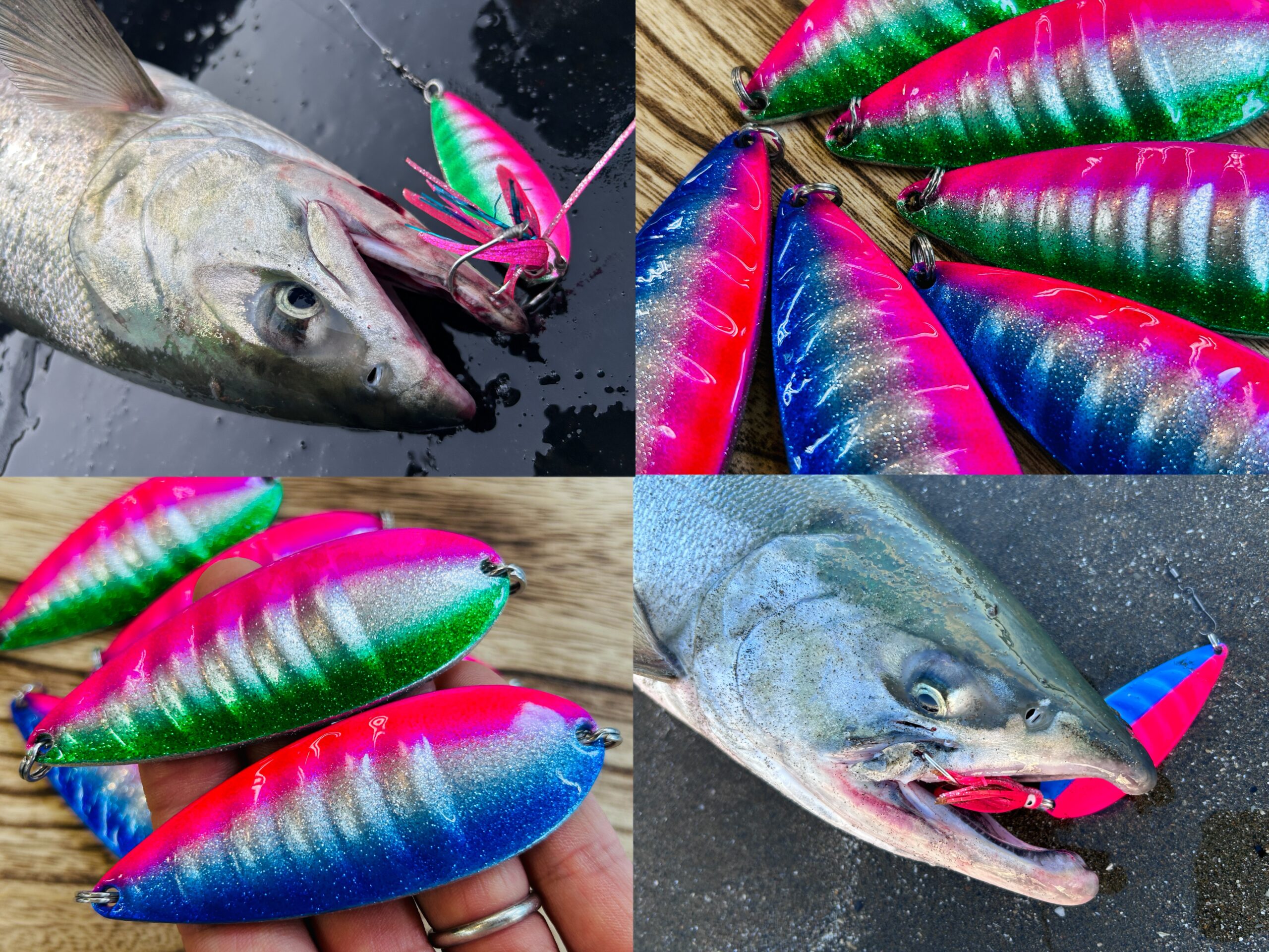 鮭（アキアジ）釣りの教科書📘仕掛けや釣り方、おすすめルアーを徹底