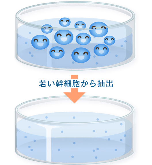 エクソソーム治療は大阪再生医療クリニックへ