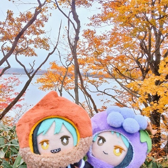 どんぐりアート♡猫帽子 紅葉狩りBIGオブジェ♡ どんぐりアート♡猫