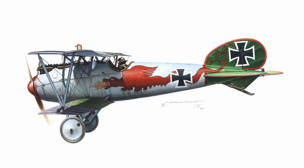 Albatros D.V / Jasta 5 1/48 - エデュアルドeショップ