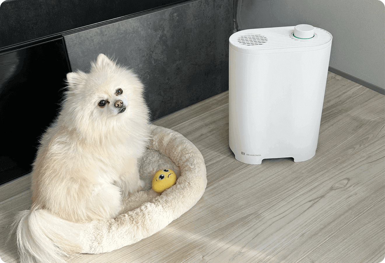 ペット用消臭アロマディフューザー「SEAROMA」